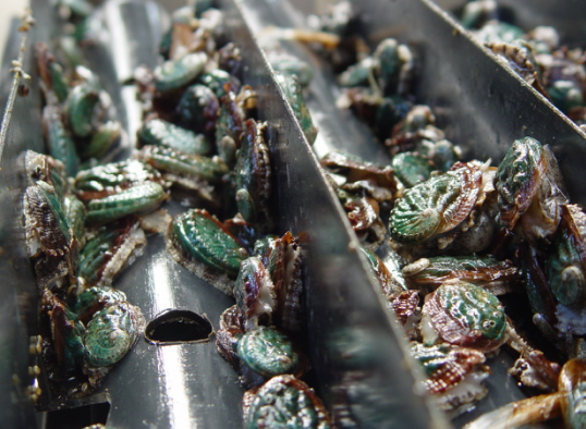 ����ζ�����ʡ�һ�� ��������������ɽ���ʴ���