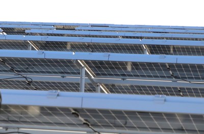 ����԰�������Ŀ������ɲ�������