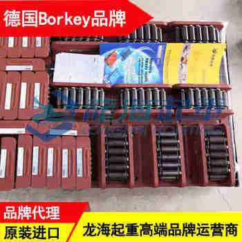 85��A��borkey�Ĵ�ʽ����С�� �䵼���ÿɳ��������