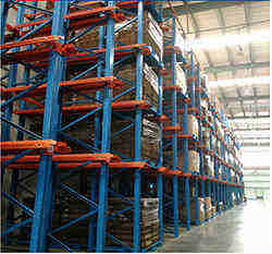 ���㶫���� �ֿ����רҵ���Ҷ��ơ�